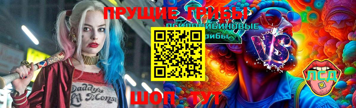 Псилоцибиновые грибы Cubensis  Котельники 